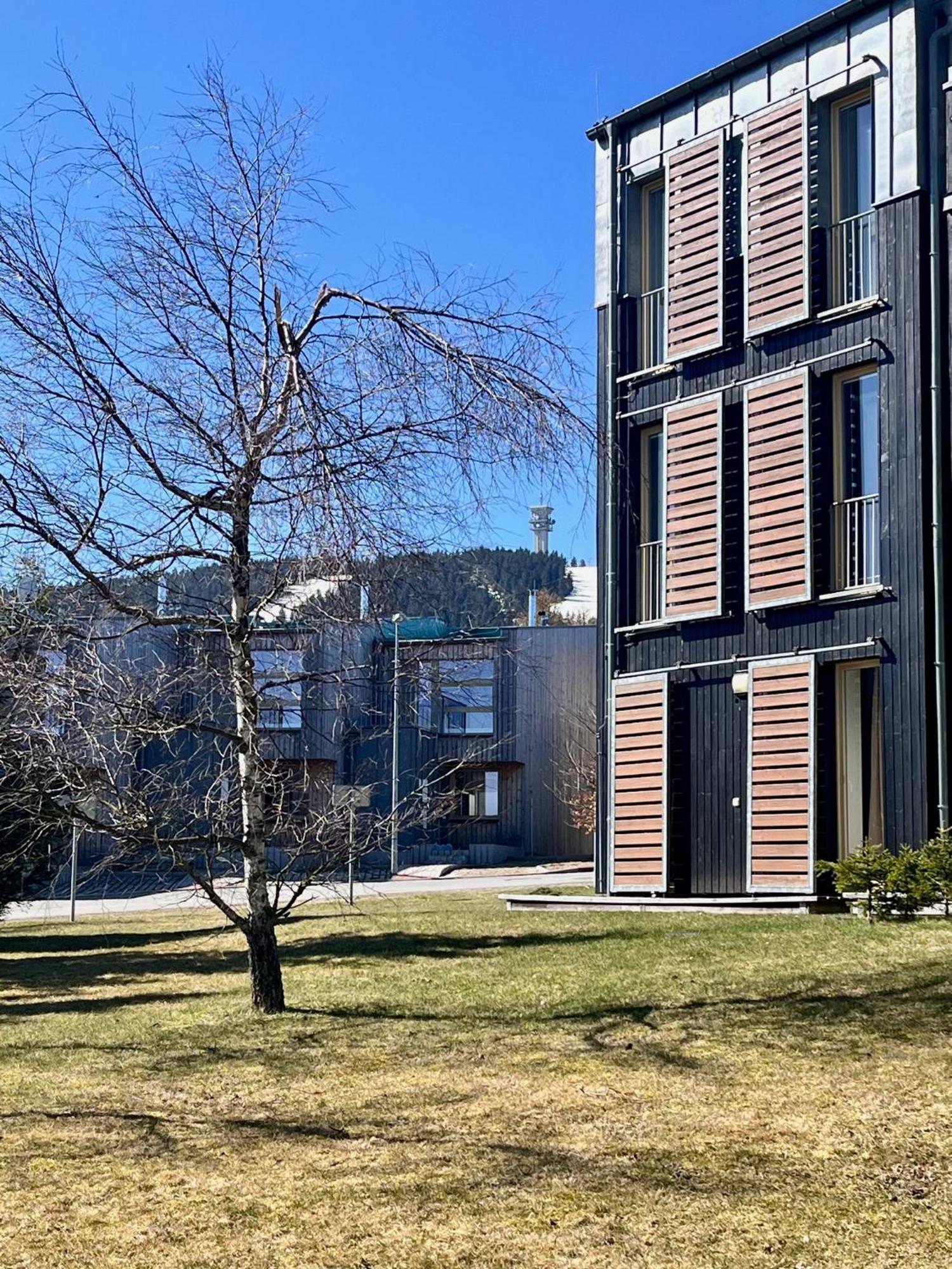 Meadows Apartments Klinovec Loučná pod Klínovcem Kültér fotó